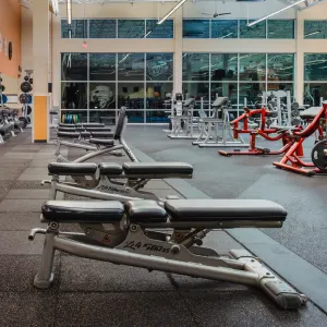 Gold's Gym San Antonio Legacy Trails