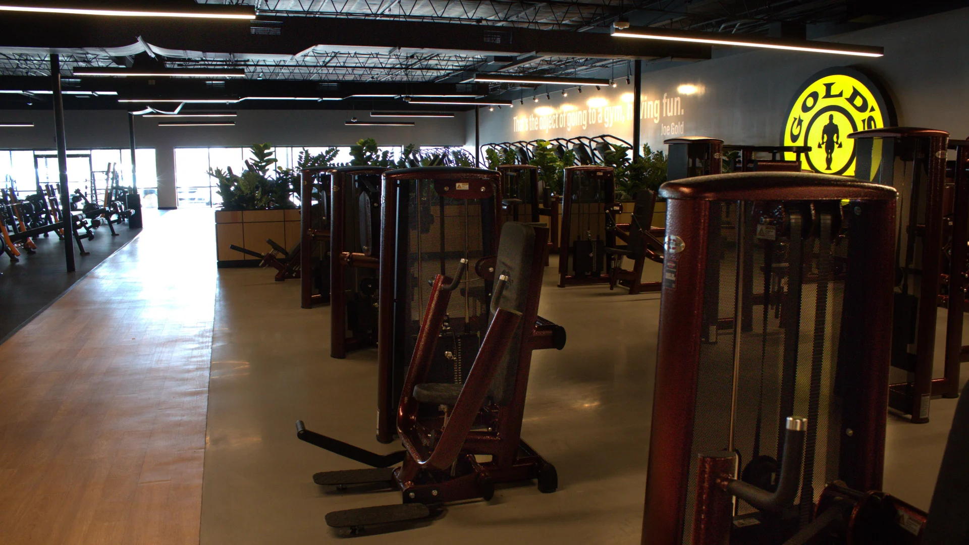 Selectorized strength machines in a spacious training area at Gold's Gym Austin, Burnet Rd, surrounded by plants and illuminated by sleek ceiling lights and branded wall signage.