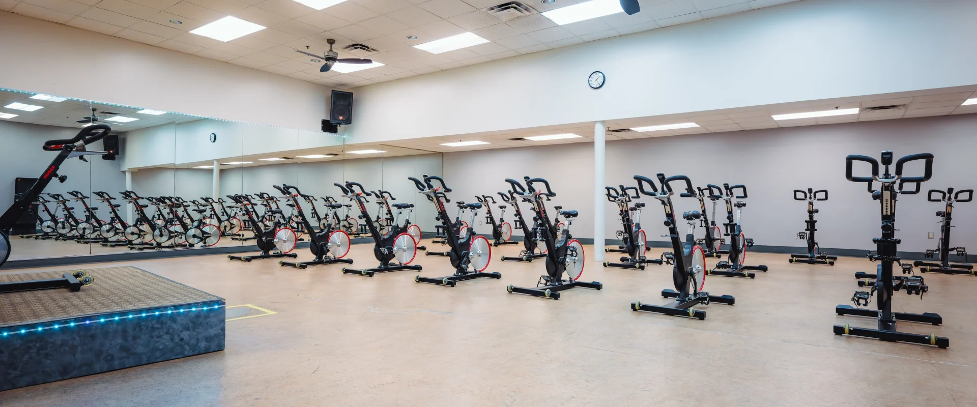 Indoor cycling studio at Gold's Gym with rows of stationary bikes on a wooden floor. Mirrors line one wall, and a small platform is in the front. Bright, well-lit space.