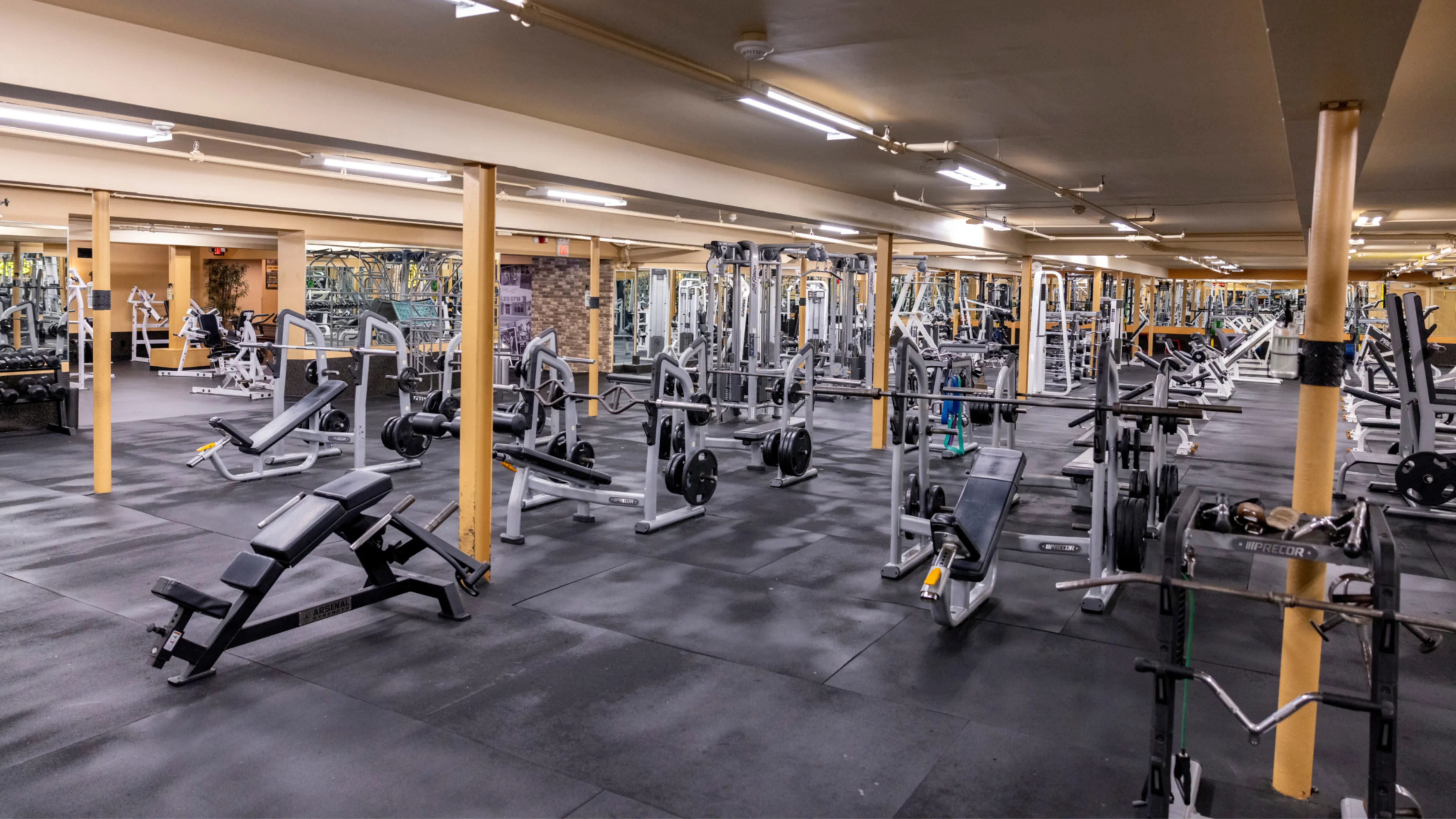 Gold's Gym Eastnorthport | Eastnorthport, NY 11731 | Build Strength