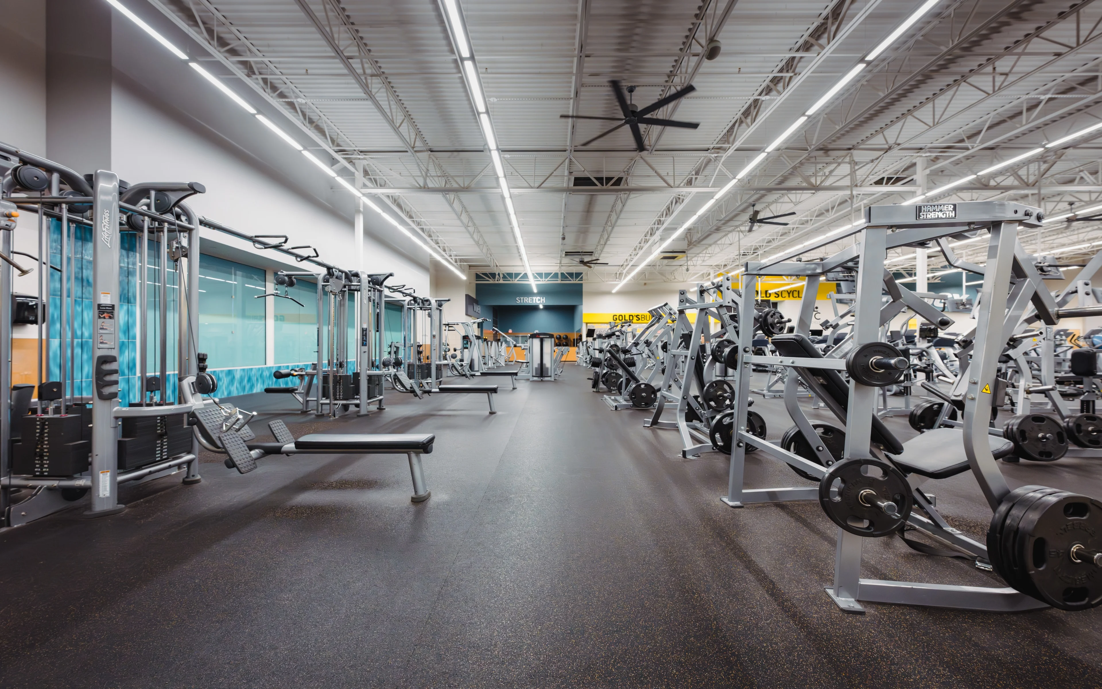 その他 Gold gym austin-hesters-crossing-free-