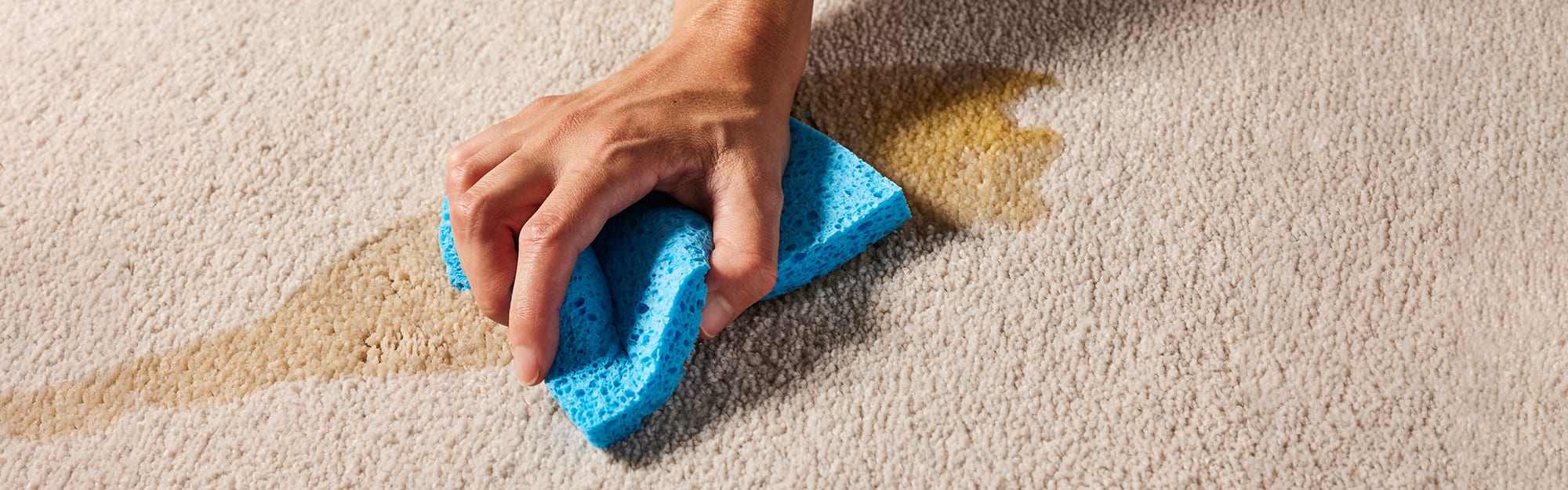 Cleanable with Cold Water