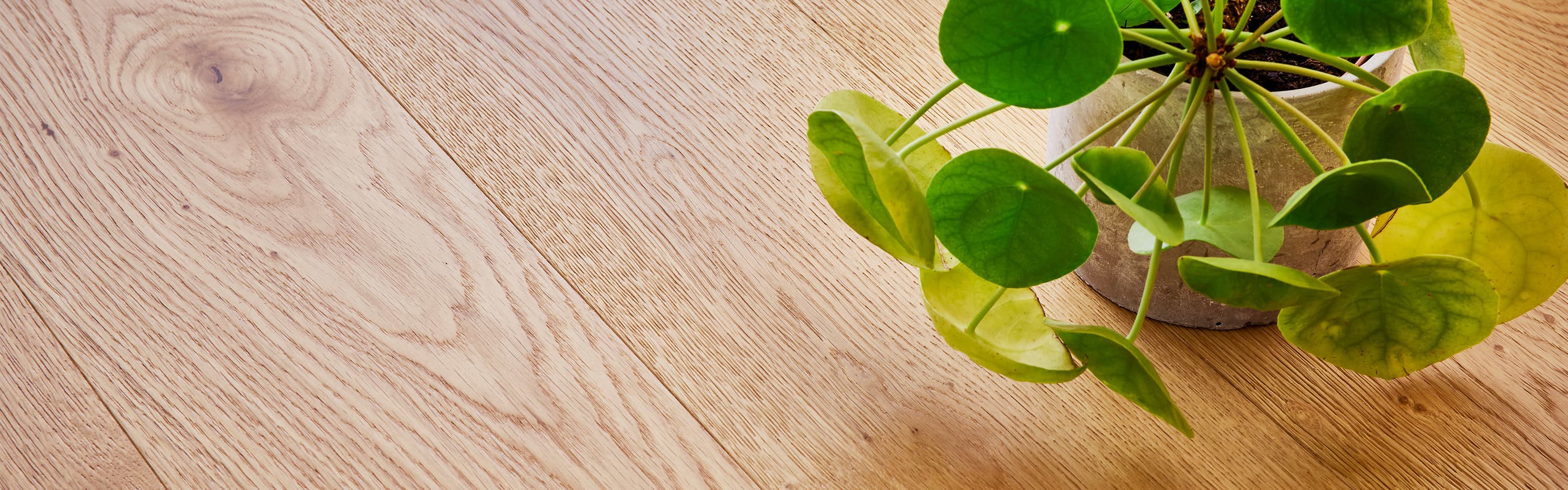 25 Year Timber Limited Residential Warranty* banner