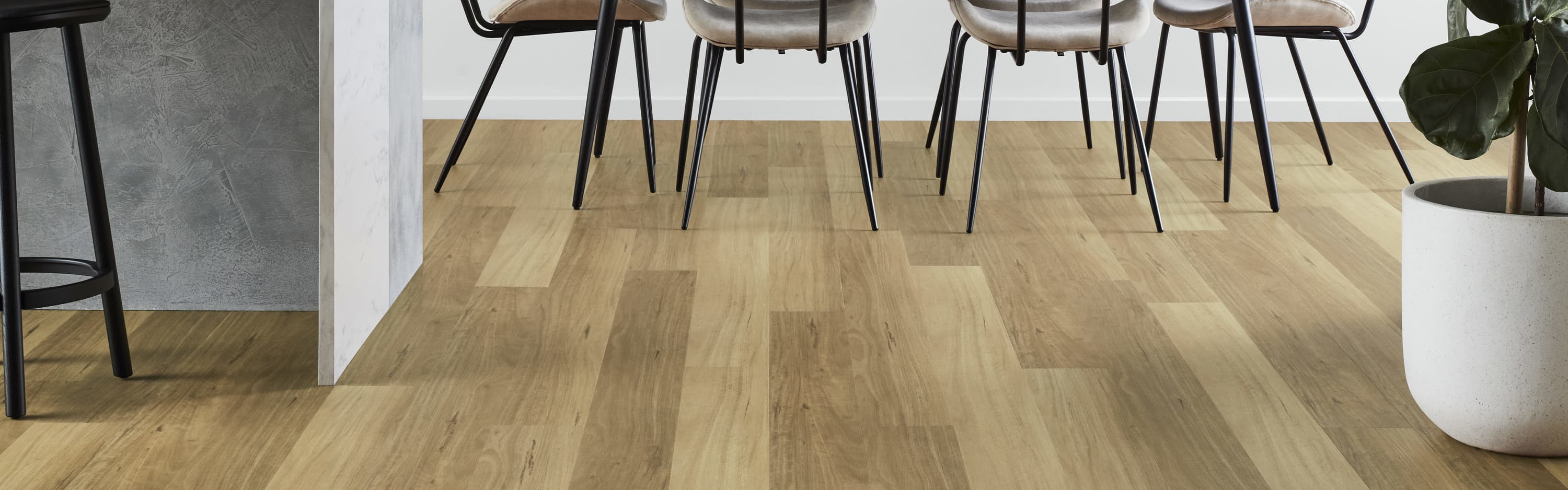 Colour Variation banner