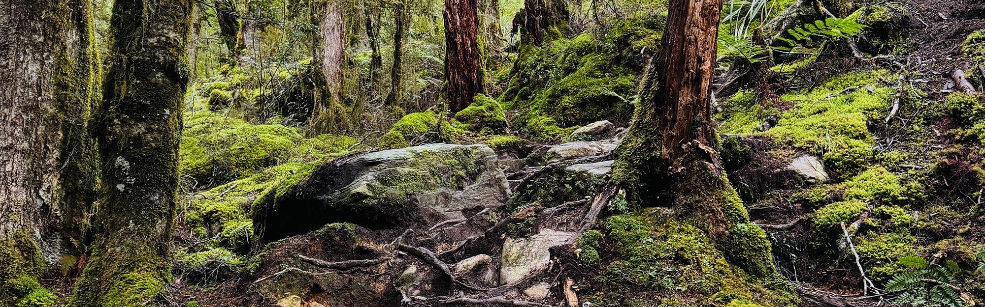 Environmental Product Declaration banner