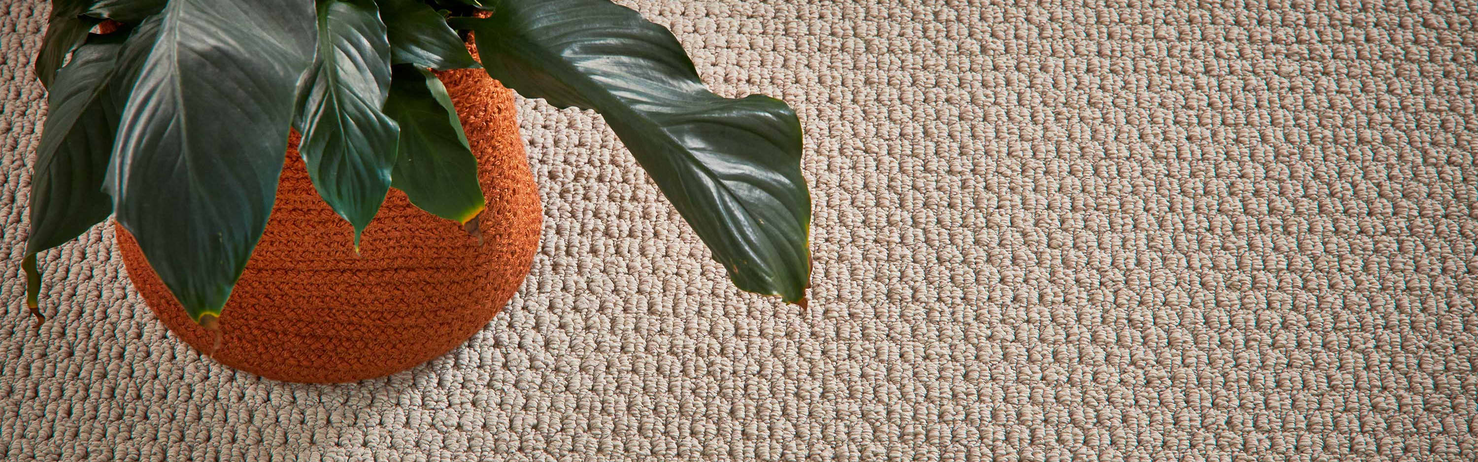 Multi-Level Loop Pile Multi-Level Loop Pile banner