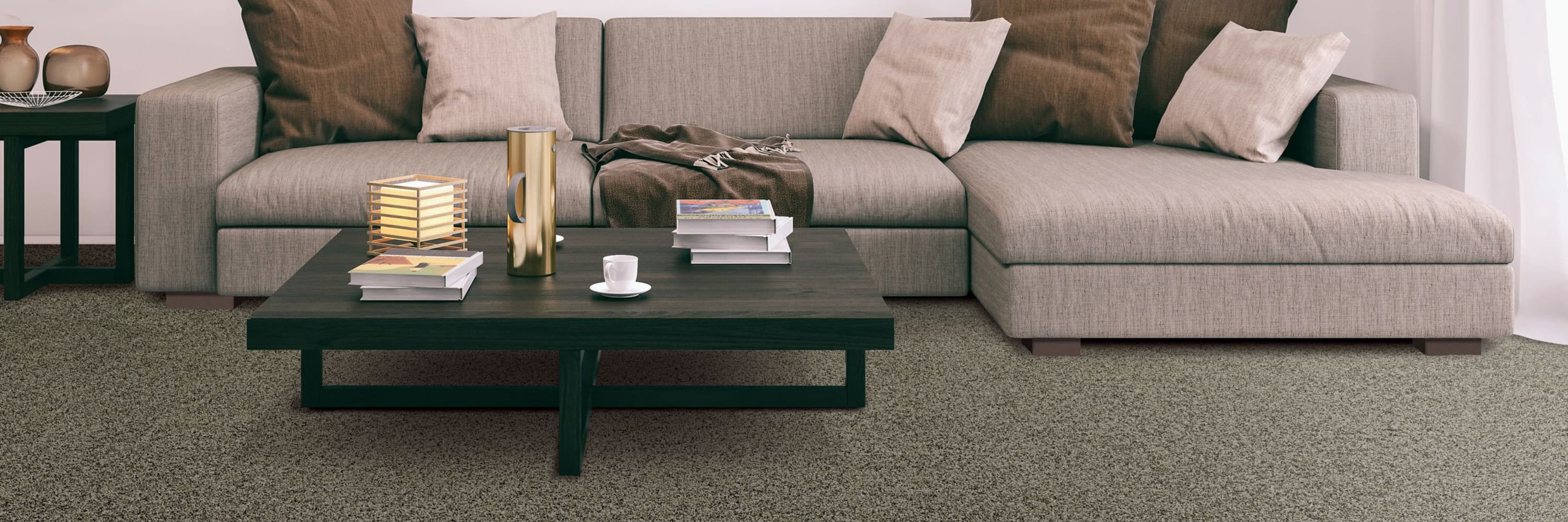 Carpet Styles banner