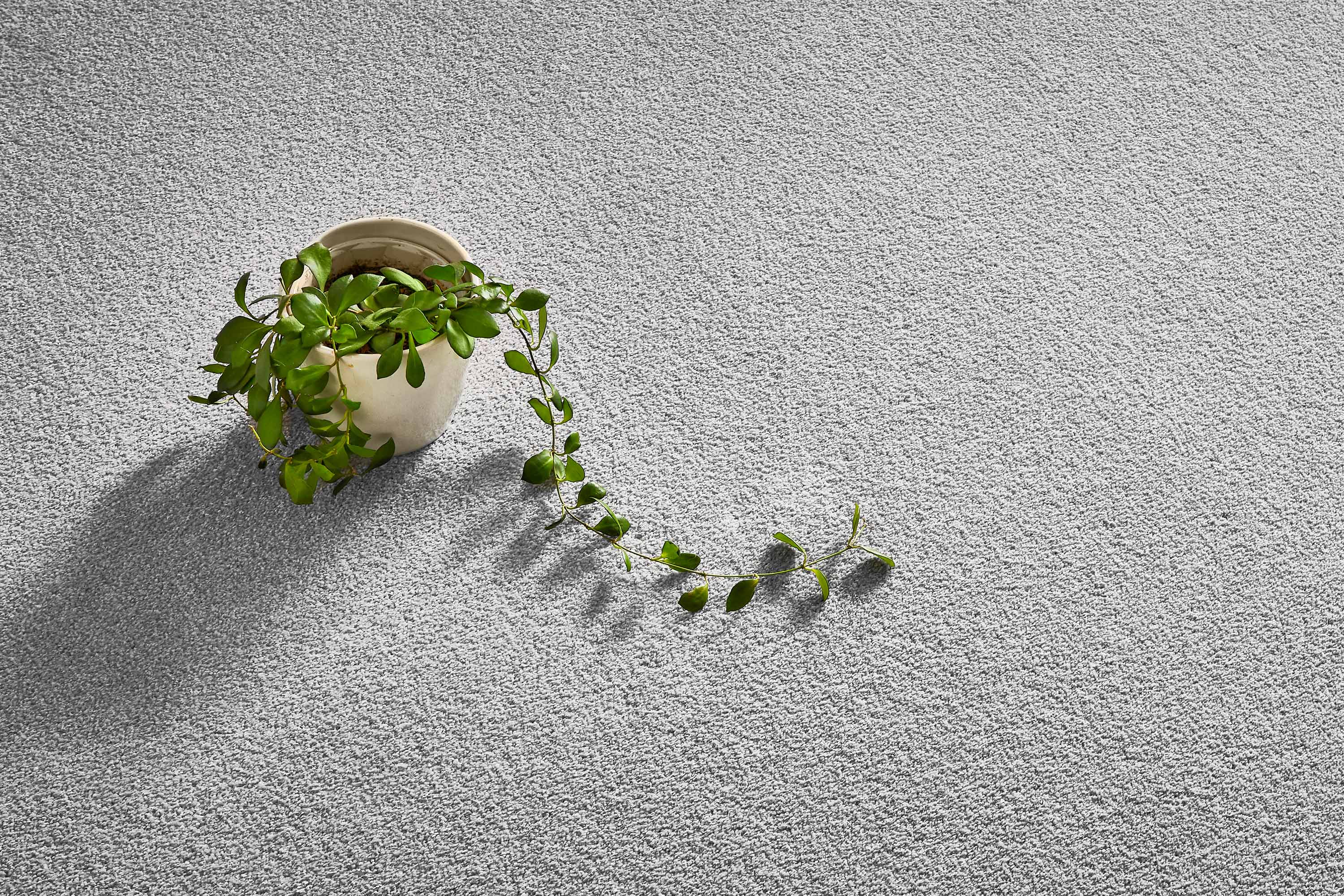 Redbook 25 Year Triexta Limited Residential Warranty* banner