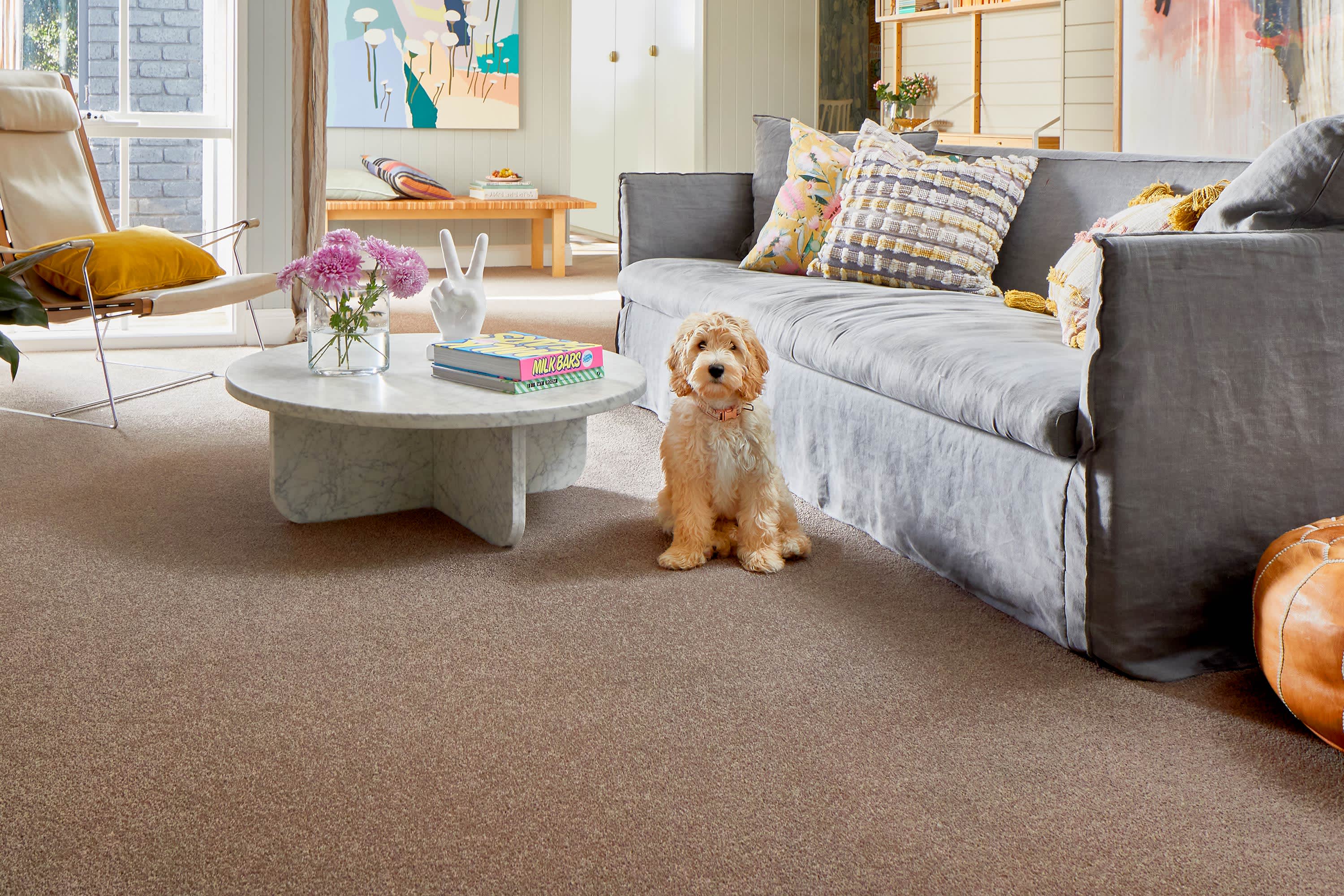 Pet Friendly banner