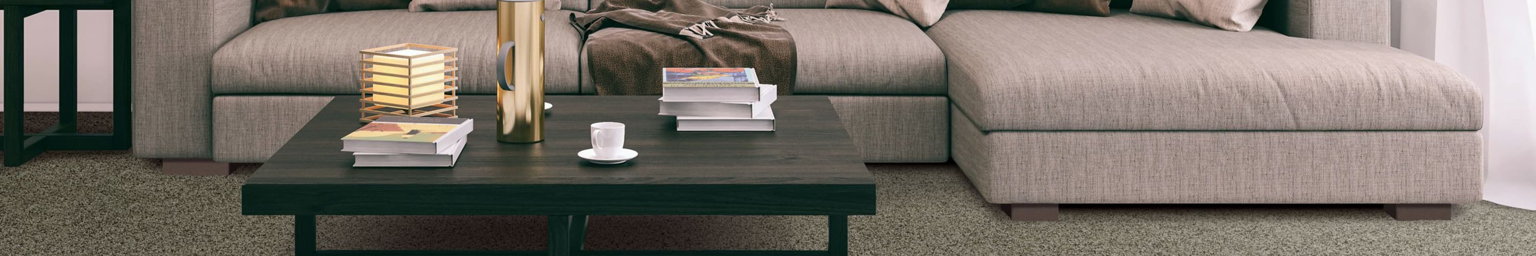 Carpet Styles banner