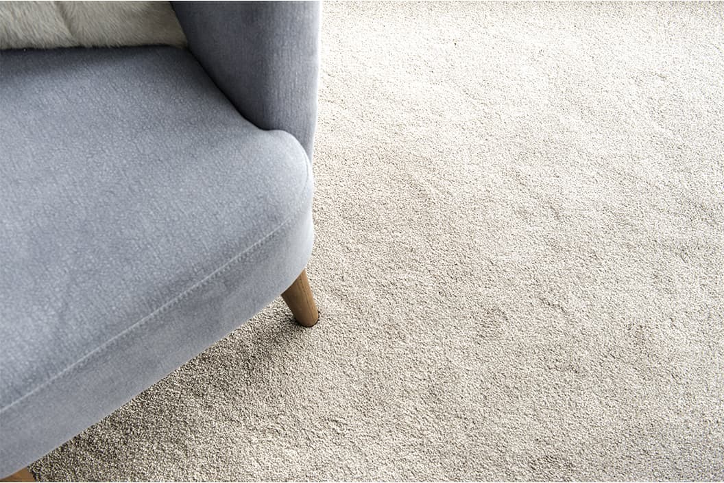 Solution Dyed Carpet and Color Loss - Cleanfax