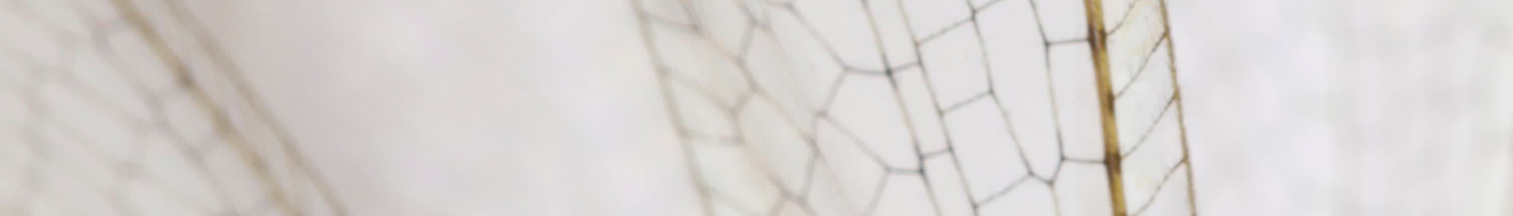 Hard Flooring banner