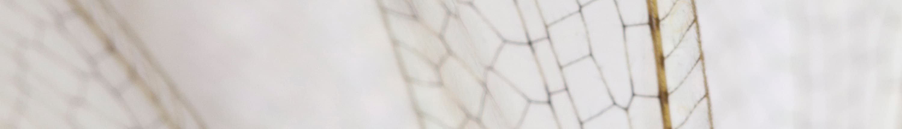 Technical Resources banner