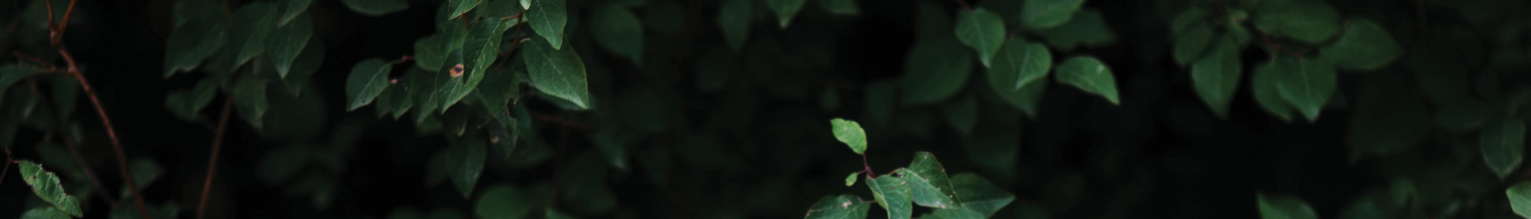 Product Types banner