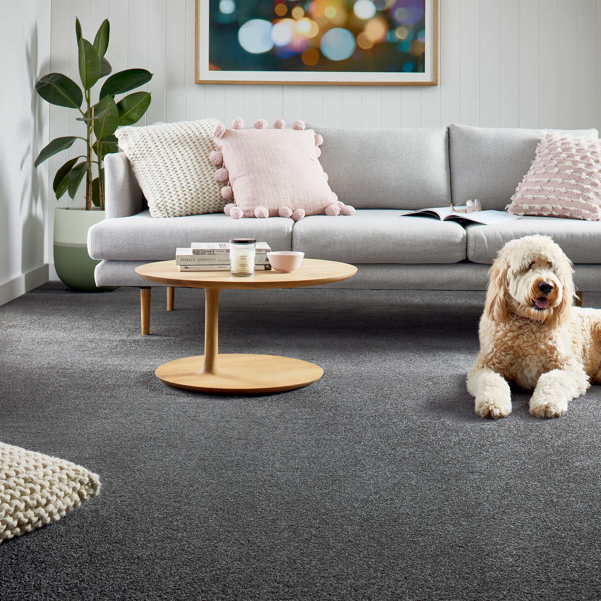 Entertaining Triexta Carpet - Redbook green Residential Carpet