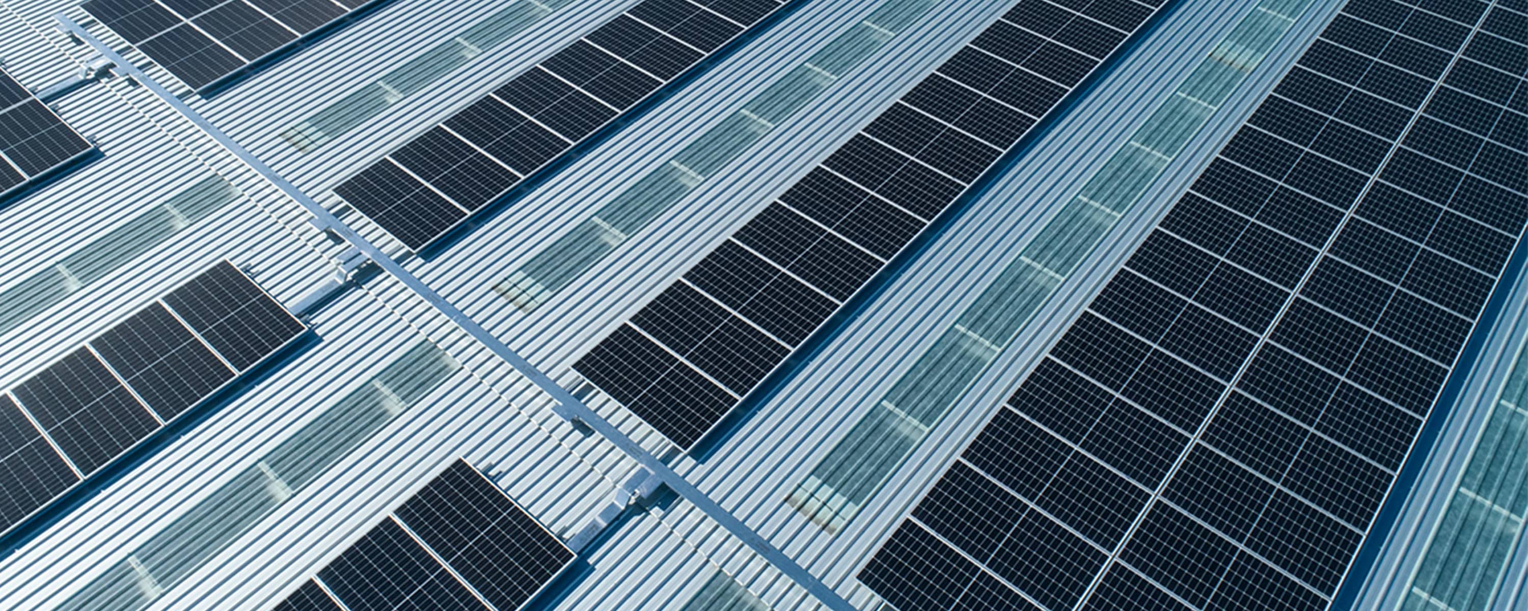 Our EPD-led Decarbonisation Journey Our EPD-led Decarbonisation Journey banner