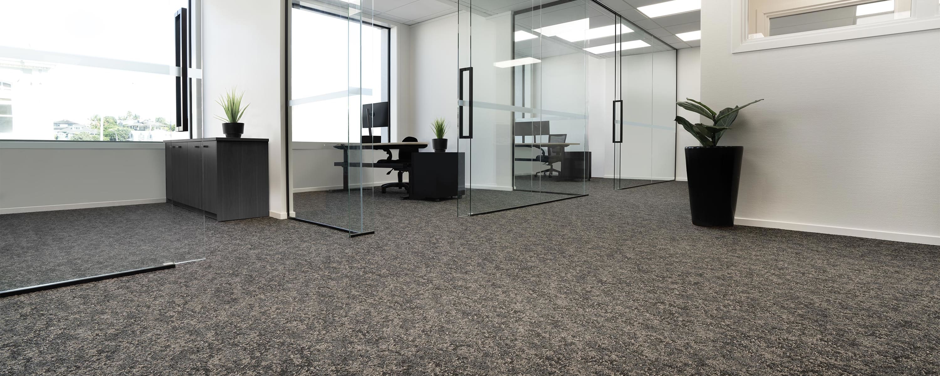 Codymo Lawyers - Auckland New Zealand banner