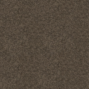 Woodland texture image