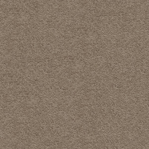 Greywacke texture image