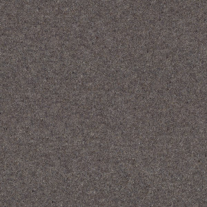 McKenzie Basin texture image