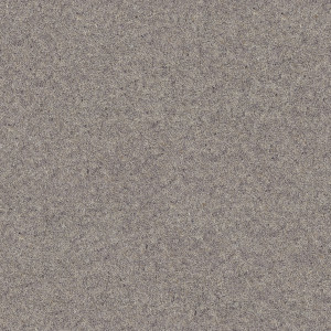 Kaimanawa texture image