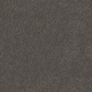 Mckenzie Basin texture image
