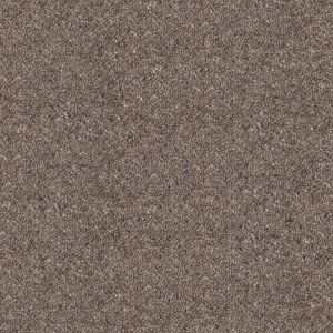 Mushroom texture image