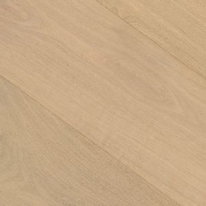 Savannah texture image