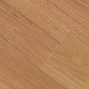 Blackbutt texture image