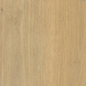 Willow Oak texture image