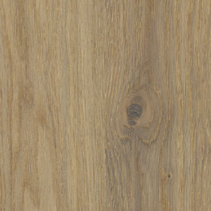 Elm Oak texture image