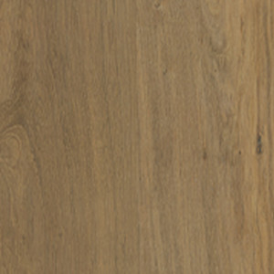 Bur Oak texture image