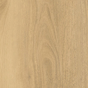 Alpine Gum texture image