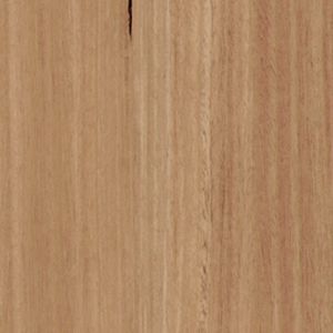 Blackbutt texture image