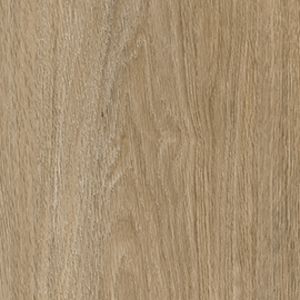 Daintree texture image