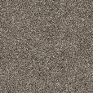 Truffle texture image