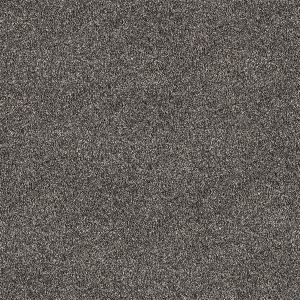 Rocky Point texture image