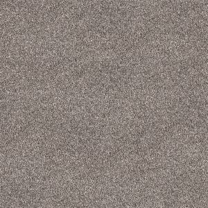 Anchovy texture image