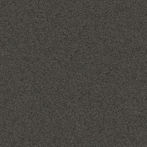Kelp texture image