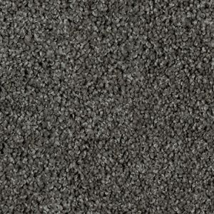 Prawn texture image
