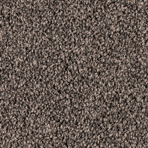 Paua texture image