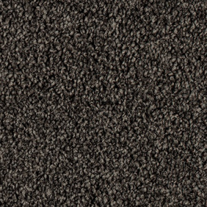 Abalone texture image