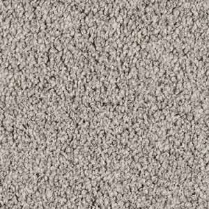 Anchovy texture image