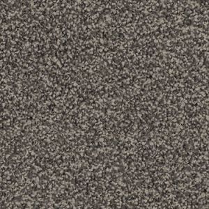 Pelorus texture image