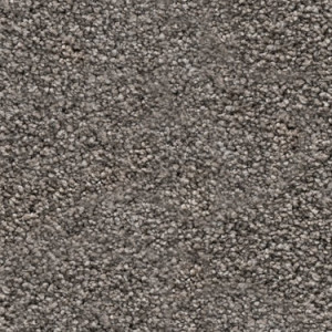 Beech texture image