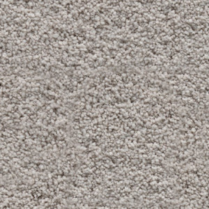 Ecru texture image