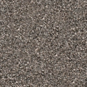 Cockle texture image