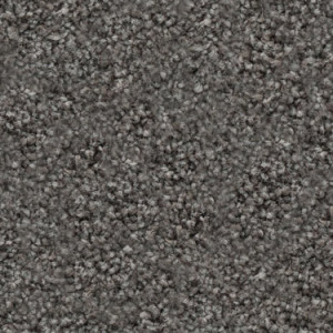 Pelorus texture image