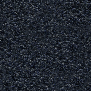Moonlit texture image