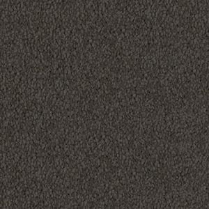 Seal Fur texture image